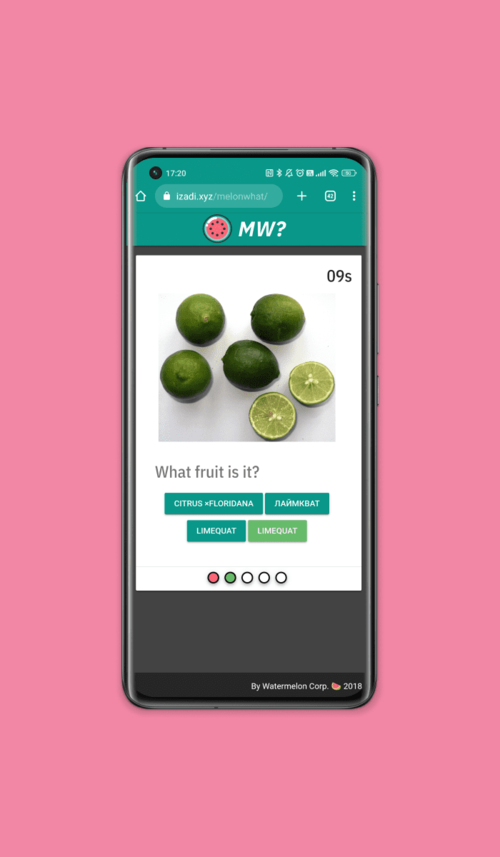 Melon What question generator app screenshot